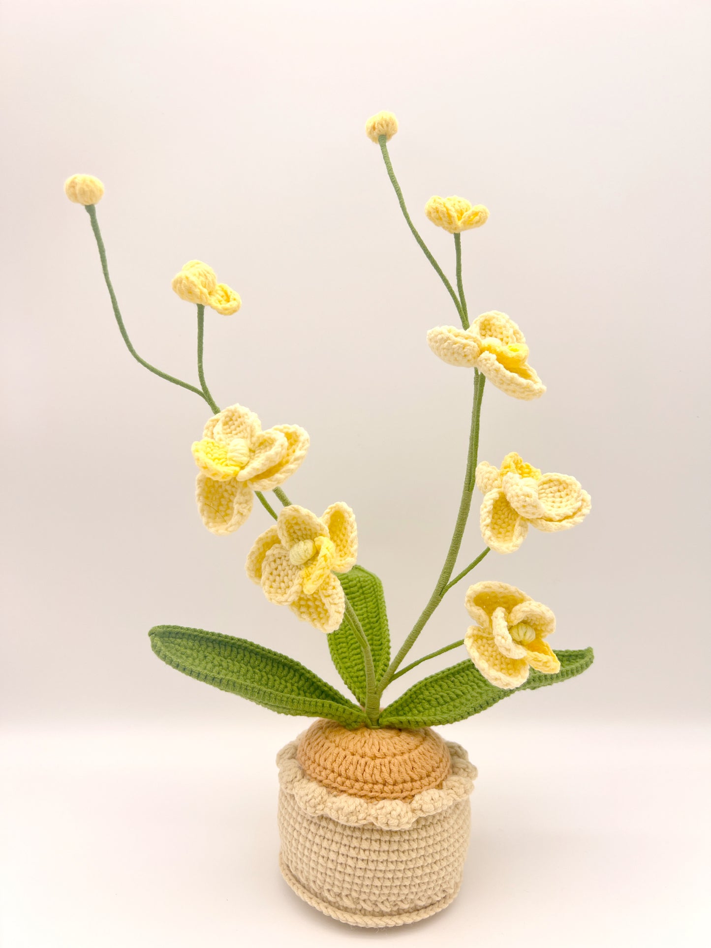 Crochet Orchid Flower Pots