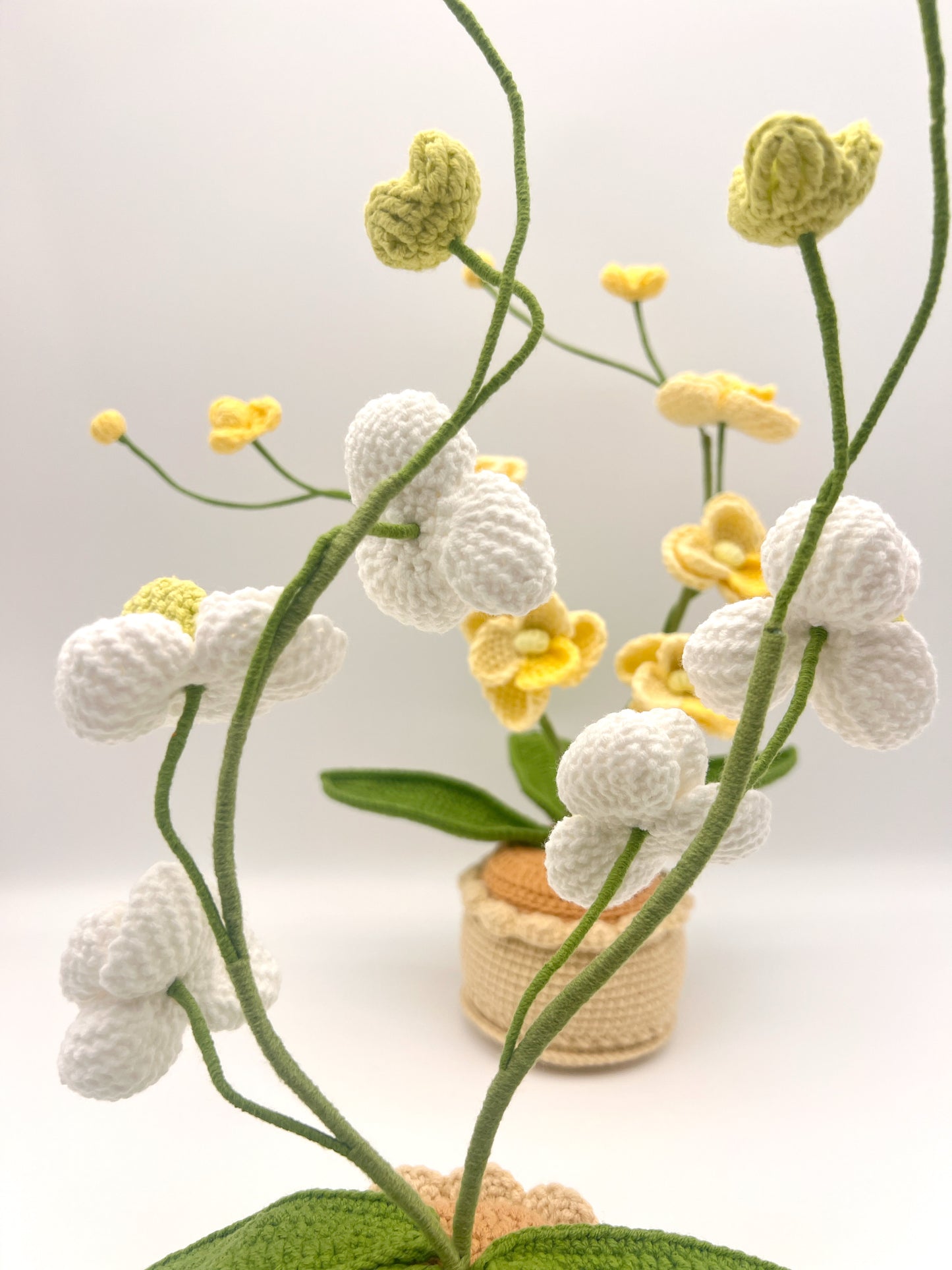 Crochet Orchid Flower Pots